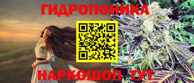 ECSTASY Нарткала