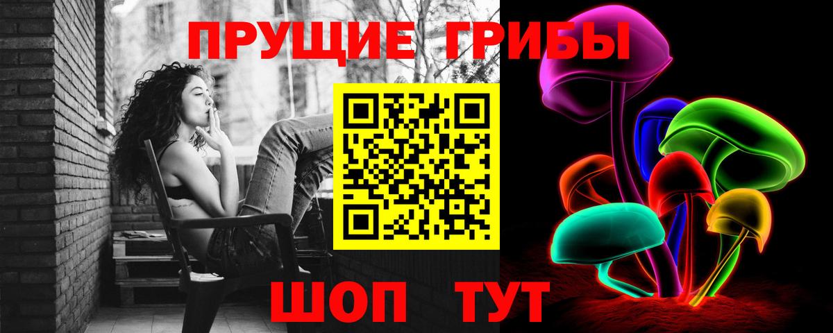 Псилоцибиновые грибы прущие грибы Тихвин